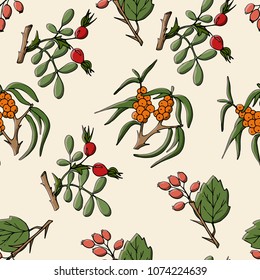 Seamless pattern with colorful branches, leaves and berries of trees, sea buckthorn and wild rose, hand drawing style, vector illustration 