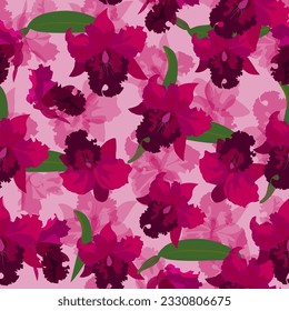 A seamless pattern of colorful cattleya. vector illustration. flower background.