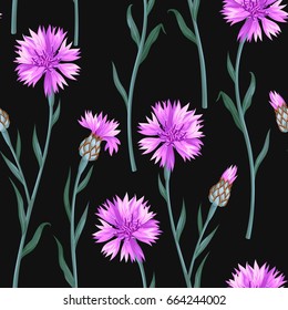 Seamless pattern with colorful cornflowers