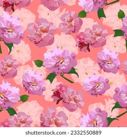 A seamless pattern of colorful Cotton rose flower. Colorful cotton rose background. flower background.