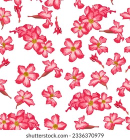 A seamless pattern of Colorful Desert rose flowers. vector illustration. Colorful flowers background.