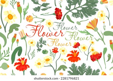 The seamless pattern with colorful flower parts is isolated on the white background. Hand-drawn parts of the marigold, calendula, chamomile, rose fruits, and words in the center.