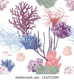 Seamless pattern with colorful hand drawn coral reef on white background. Vector illustration in vintage style