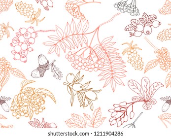 Seamless pattern of colorful hand drawn sketch style autumn plants isolated on white background. Vector illustration.