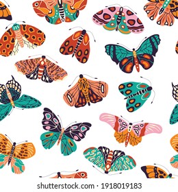 Seamless pattern with colorful hand drawn butterflies and moths on white background. Stylized flying insects, vector illustration. 