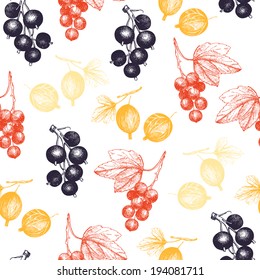 Seamless pattern with colorful hand drawn red and black currant and glosseberry isolated on white