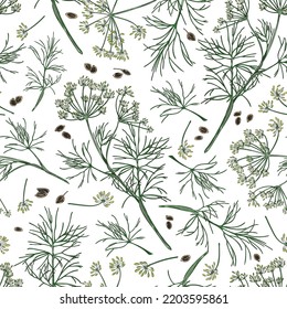 Seamless pattern with colorful hand drawn dill plants and seeds sketch style, vector illustration on white background. Decorative design for packaging and wrapping