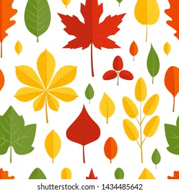 Seamless pattern with colorful leaves in flat style. Vector illustration on white background