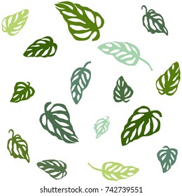 Seamless pattern of colorful leaves Monstera, isolated on white background. 