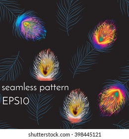 Seamless pattern of colorful peacock feather. Vector illustration on black background.