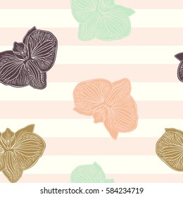 Seamless pattern. Colorful phalenopsis on the striped background. Vector tropical summer hand drawn illustration.
