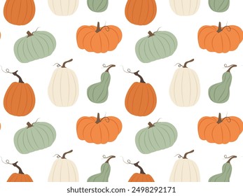 Seamless pattern of colorful pumpkins. Autumn background with vegetables