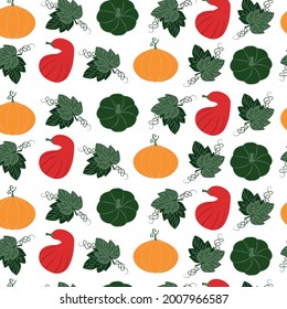 Seamless pattern with colorful pumpkins. Perfect for wallpaper, gift paper, textiles, prints, autumn greeting cards. Vector illustration of EPS 10.