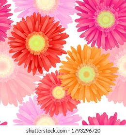 Seamless Pattern from Colorful Realistic Gerbera Flowers. Summer background design for your holiday poster, banner, headline text. Vector Illustration.