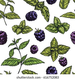 Seamless pattern with colorful sketch illustrations of mint leaves and blackberries, vector pattern