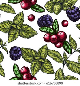 Seamless pattern with colorful sketch illustrations of mint leaves, cranberries  and blackberries, vector pattern