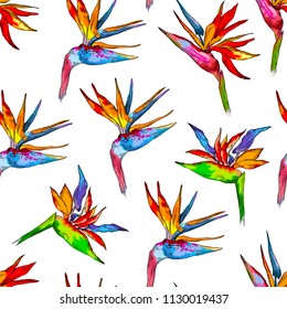 Seamless pattern of colorful strelitzia collection. Vector exotic flowers of a paradise bird isolated on white background. Repeating background for textile, wallpaper, surface, summer decoration