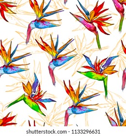 Seamless pattern of colorful strelitzia collection. Vector exotic flowers of a paradise bird isolated on white background. Template for cloth, poster, packing design, web design. Tropical concept