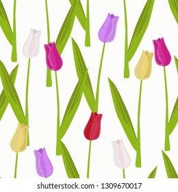 Seamless pattern of colorful tulips on a white background