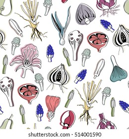 Seamless pattern with colorful vintage style botanical elements. Doodle template for design. Vector illustration eps8
