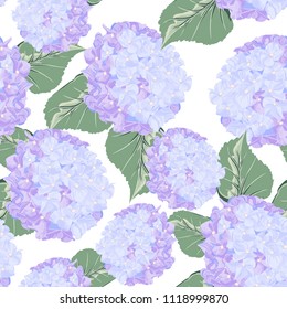 Seamless pattern with colorful violet hydrange flower on white background. Vector set of blooming floral for wedding invitations and greeting card design.