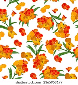 A seamless pattern of colorful Wallflowers. vector illustration. flowers background.