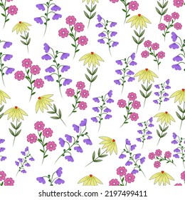 Seamless pattern with colorful wild flowers. For packaging design, textile, banner, invitation.