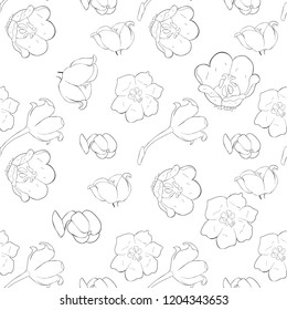 seamless pattern coloring flower lily of the valley vector illustration