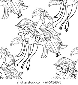 Seamless pattern  Coloring fuchsia flower hybrid ballerina  Vector illustration