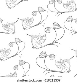 seamless pattern coloring  Hummingbird  in flight  Vector illustration