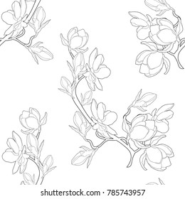 flor de magnolia de color sin fisuras. ilustración vectorial