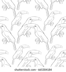 Seamless pattern coloring Toucan a  exotic bird .Vector illustration