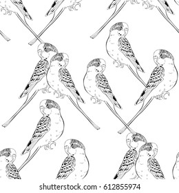 seamless pattern coloring with  wavy parrot  .Vector illustration