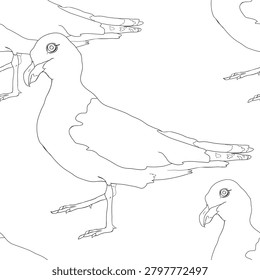 seamless pattern coloring Yellow-legged gull Larus michahellis vector illustration