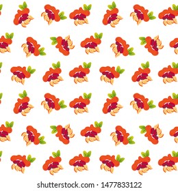 Seamless pattern of  coloured  peanuts on white background