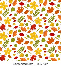 Seamless pattern with colourful realistic autumn leaves. Chestnut, maple, willow, birch, poplar, oak, mountain-ash, rowan. Endless background. Vector illustration