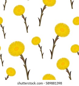 Seamless pattern coltsfoot flowers, vector