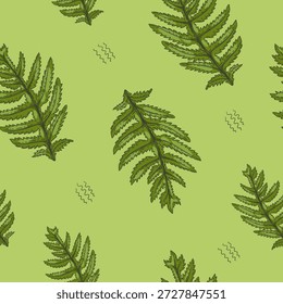 Padrão contínuo de planta tansy comum, planta medicinal, esboço de caule com folhas e flores. Ilustração vetorial