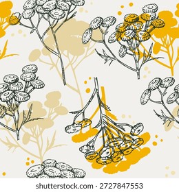 Patrón sin fisuras de la planta de tanaceto común, planta medicinal, boceto de tallo con hojas y flores. Ilustración vectorial