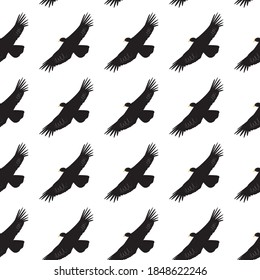 Seamless pattern with condor - bird of prey of america. 