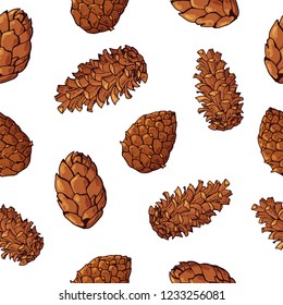 Seamless pattern with cones. Christmas pattern. Pinecones. Isolated on white background. Botanical hand drawn vector illustration. For Christmas design, fabrics, wallpapers, greeting cards, wrappings.