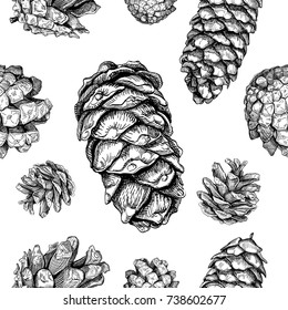 Seamless pattern with cones. Fir tree, cedar, pine. Hand drawn sketch. Vector illustration.