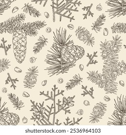 Seamless pattern with conifers: cedar and cone, spruce tree, taxus baccata and thuja plicata. Cosmetics and medical plant. Vector hand drawn illustration.