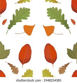 Seamless pattern consisting of autumn leaves of poplar, rowan, maple and oak. Vector illustration isolated on white background. Isolated. EPS 10.