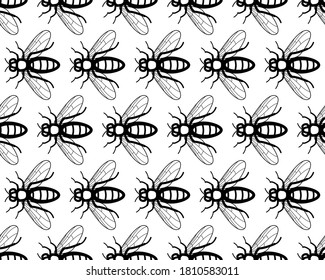 Seamless pattern of the contour bee insects