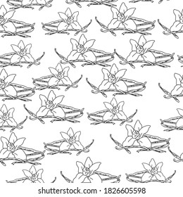 Seamless pattern of contour images of a flower and sprigs of vanilla, aromatic herbs and spices on a white background, vector outline illustration for design and creativity