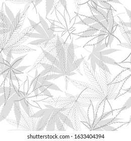 Seamless pattern with contour lines medical marijuana leaves black and white background, vector illustration.