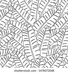Seamless pattern with contour lines of tropical leaves on a white background.