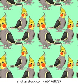 Seamless pattern of Corella nymph parrot cockatoo family. Vector illustration