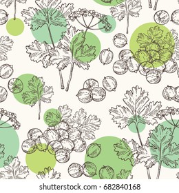 Seamless pattern with coriander and cilantro. Vector hand drawn illustration.